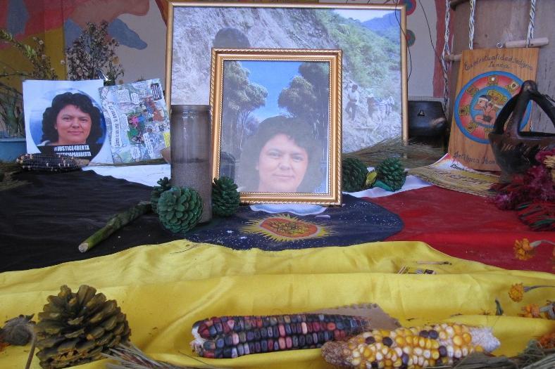 frauke decoodt berta